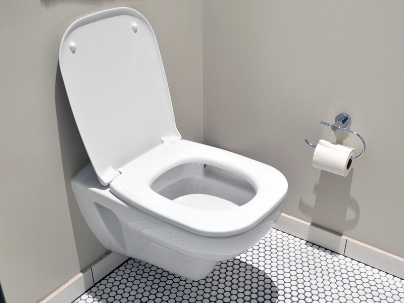 What To Check If Your Toilet Is Not Flushing