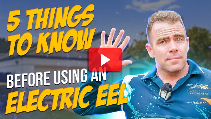 PLUMBING ELECTRIC EELS! (The Secrets You Need to Know)