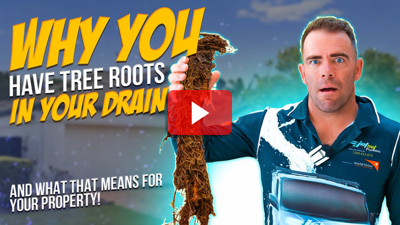 Tree Roots in Your Drains? Here's Why and What You Need to Know! video