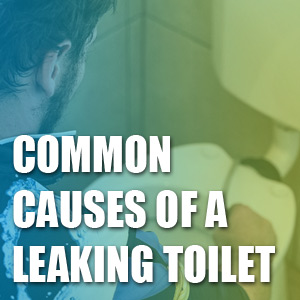 Common Causes of a Leaking Toilet