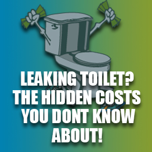 Leaking toilet? The Hidden Costs You Don't Know About!