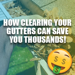 Learn How Clearing Your Gutters Could Save You Thousands!