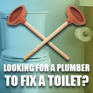 Looking For A Local Plumber To Fix A Toilet?