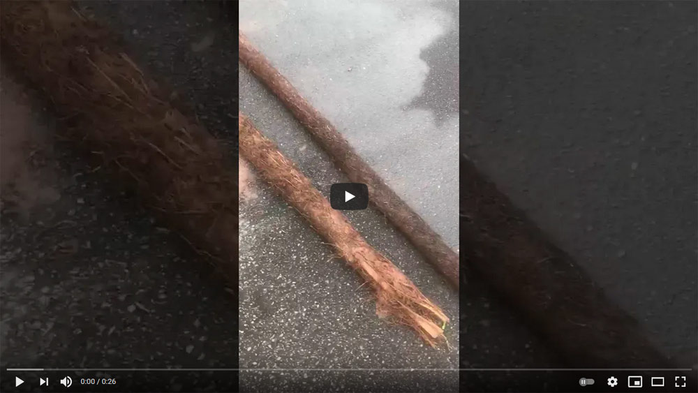 Aftermath of Tree Root Being Pulled From Drain video