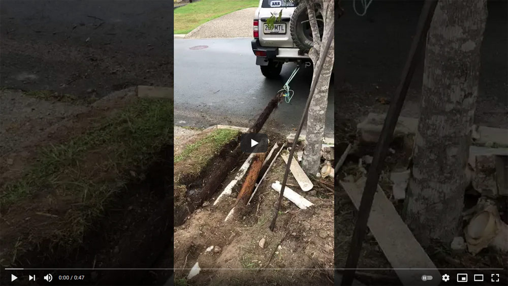 Car Pulling Root From Drain video