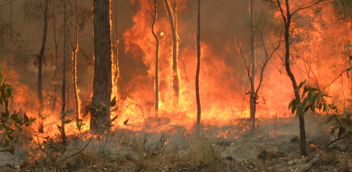 QLD Bushfires