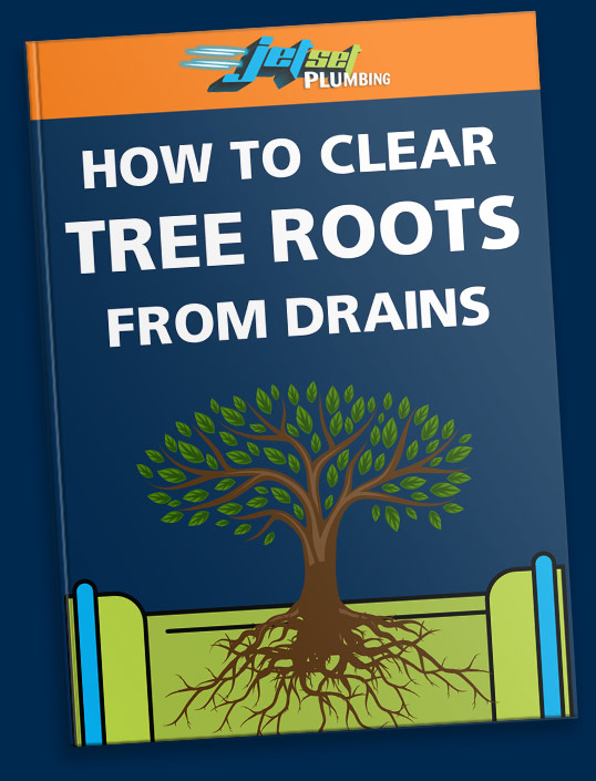 How To Clear Tree Roots From Drains