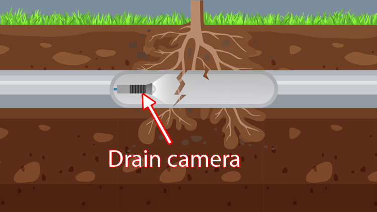 Inspect the drain with a drain camera