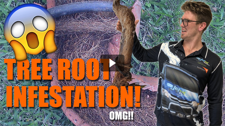 Tree Root Infestation - Blocked Drain video