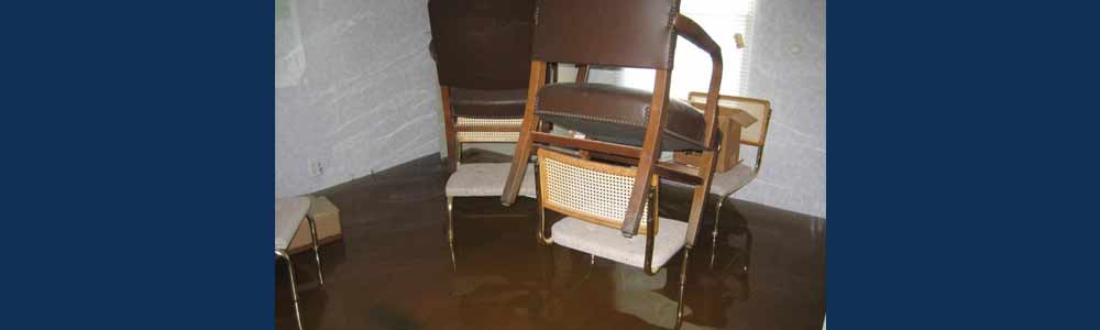 Water Flooded the place